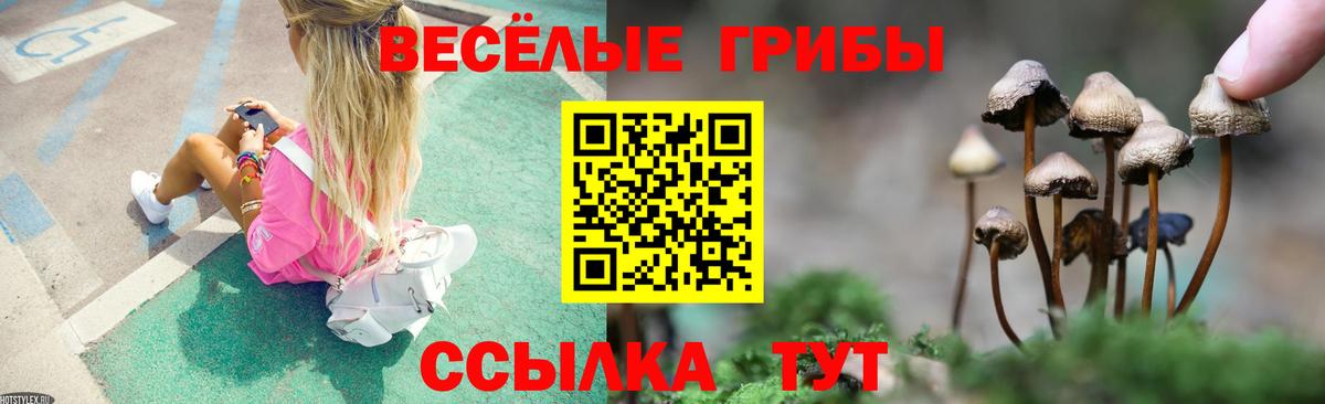 Каннабис Кингисепп